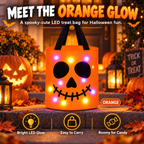 Light-Up Halloween Treat Bag™
